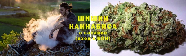 молекула духа Лагань
