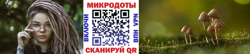 Псилоцибиновые грибы ЛСД Купить где Андреаполь