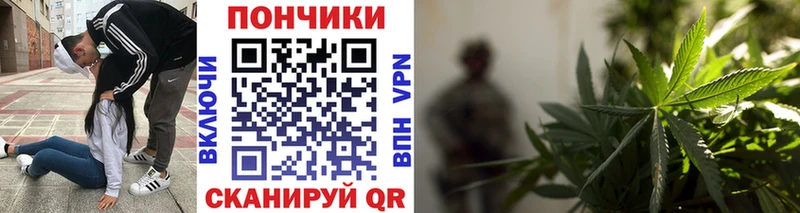 Каннабис Bruce Banner  Купить закладки  Андреаполь 